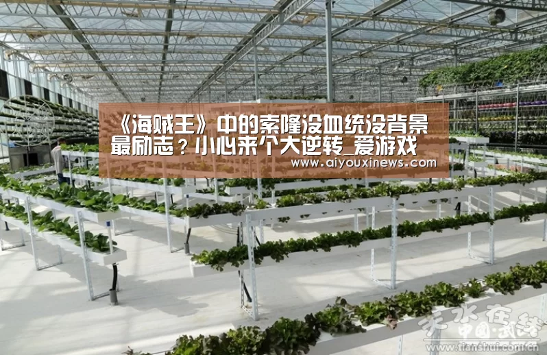《海贼王》中的索隆没血统没背景最励志?小心来个大逆转_爱游戏娱乐(图2) 爱游戏直播