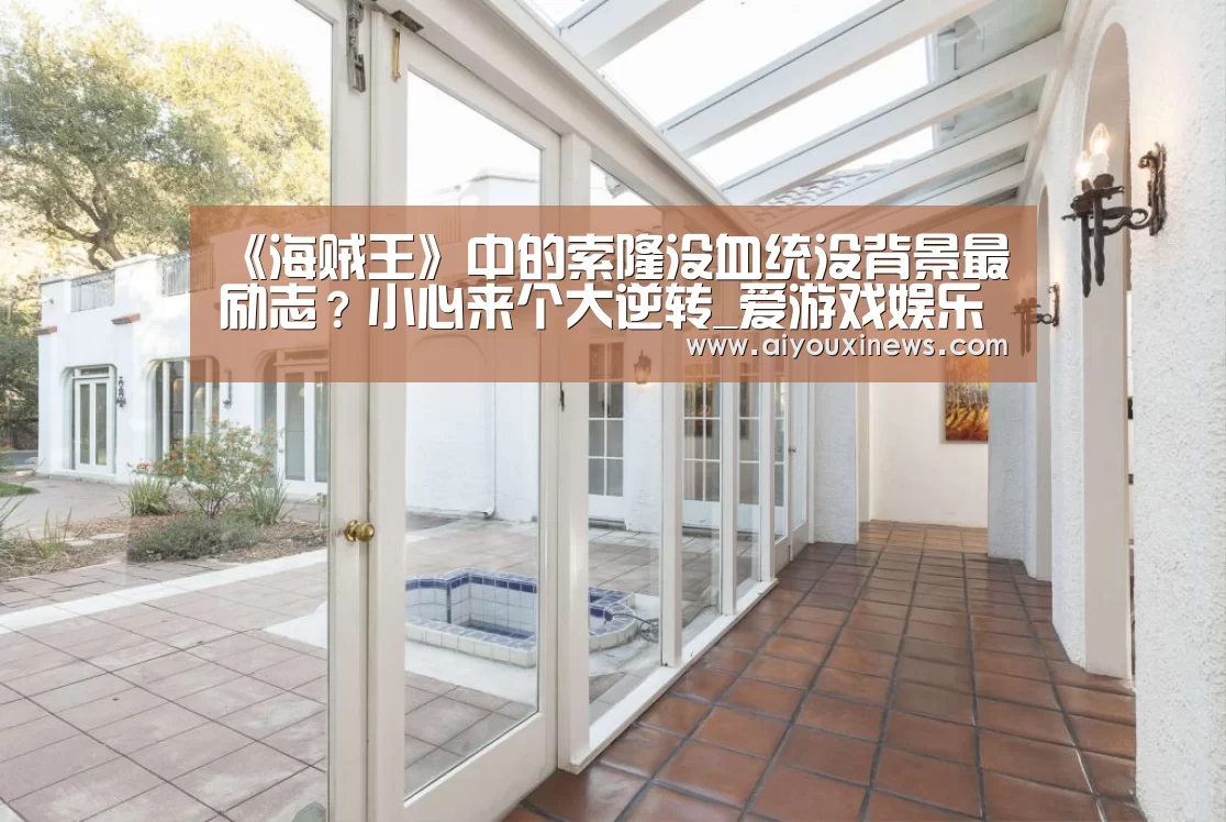 《海贼王》中的索隆没血统没背景最励志?小心来个大逆转_爱游戏娱乐(图4) 爱游戏娱乐