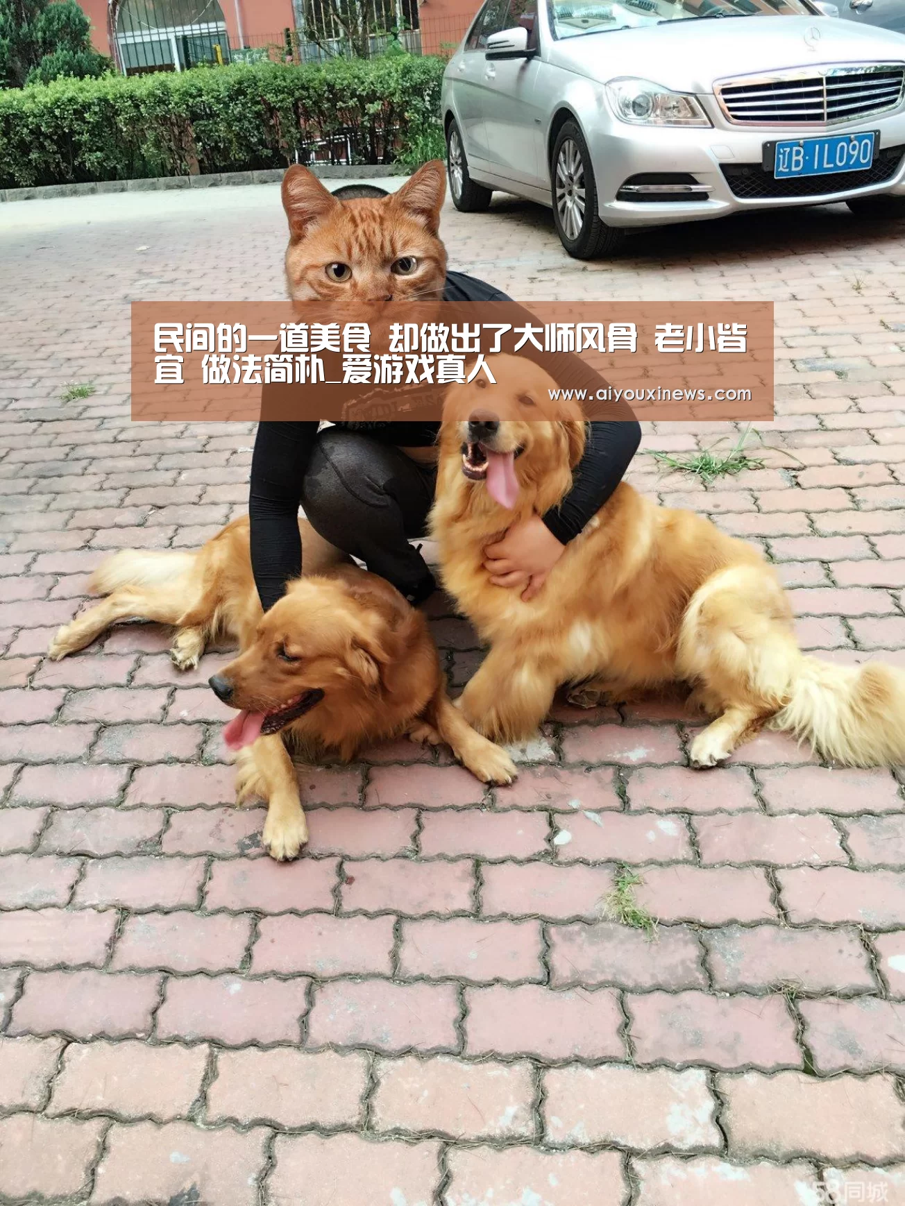民间的一道美食 却做出了大师风骨 老小皆宜 做法简朴_爱游戏真人(图2) 爱游戏直播